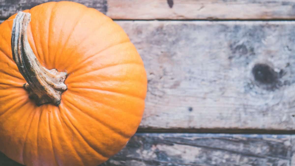 Featured image for “Why All Nutrition Therapists Love Pumpkins”