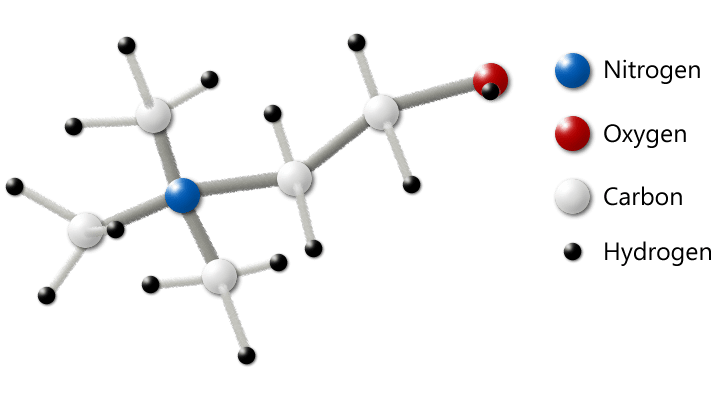 Choline Molecule