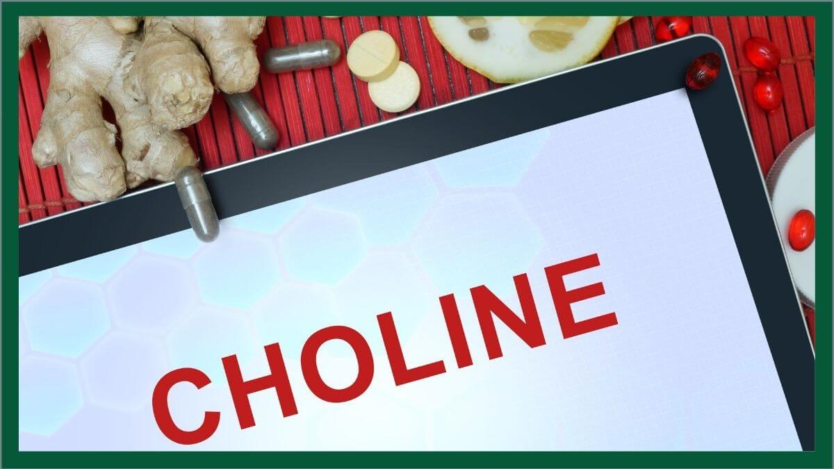 Featured image for “Choline is a Nutrient You Should Know”