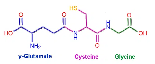 does garlic contain glutathione Super Antioxidant Liposomal Glutathione main image 1