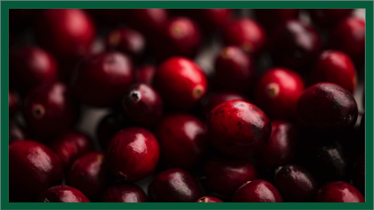 Featured image for “Cranberries: A Seasonal Fruit to be Thankful For”