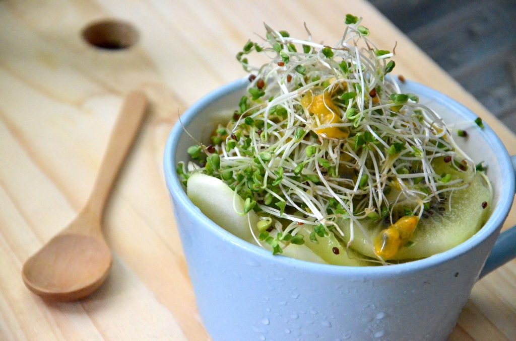 Broccoli Sprouts Image