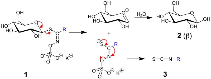 Isothiocyanate Reaction Image