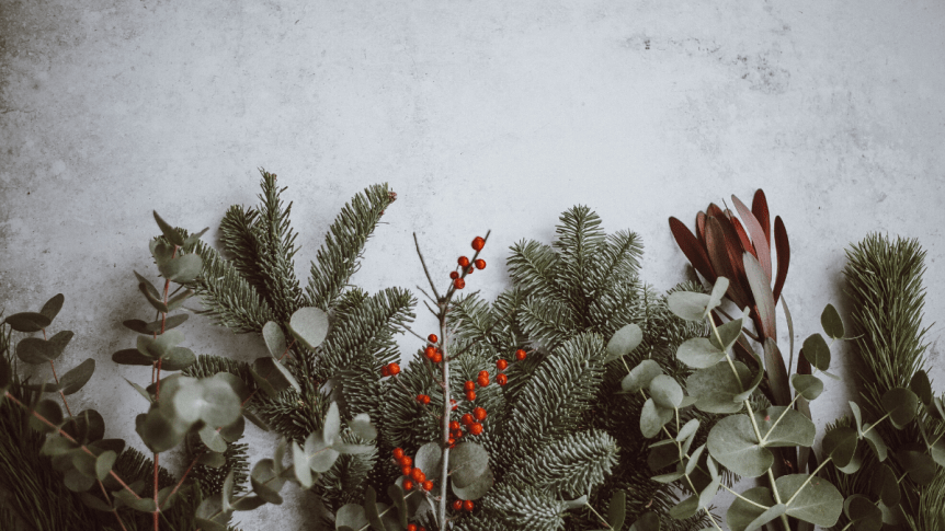 Nutritional holiday herbs, pine, mistletoe and cranberries on a white background