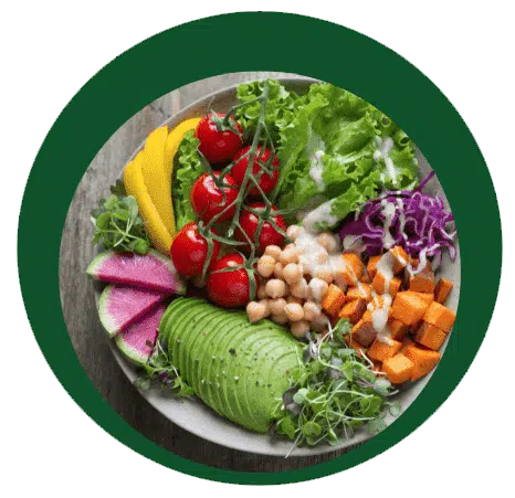 Holistic Nutrition