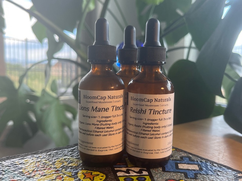 Organic dual-extract Reishi and lions mane mushroom tincture bottles crafted by NTI student using fruiting bodies and traditional extraction methods.