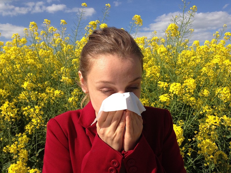 Featured image for “Maximizing Foods for Your Seasonal Allergies”