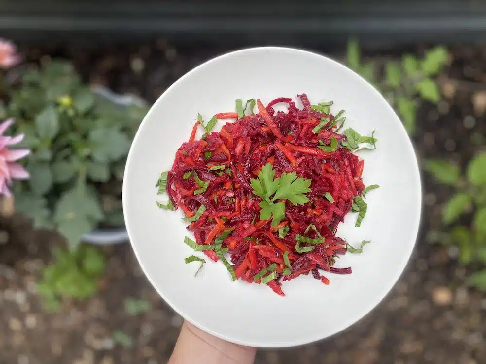 Featured image for “Beet, Carrot & Apple Summer Slaw”